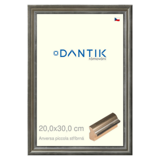 DANTIK rámeček 20x30 | ANIVERSA piccola stříbrná (Sklo Čiré)
