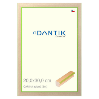 DANTIK rámeček 20x30 | CARINAzelená (Sklo Čiré)