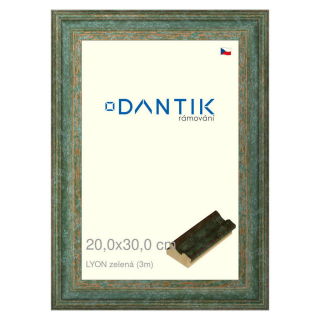 DANTIK rámeček 20x30 | LYON zelená (Sklo Čiré)