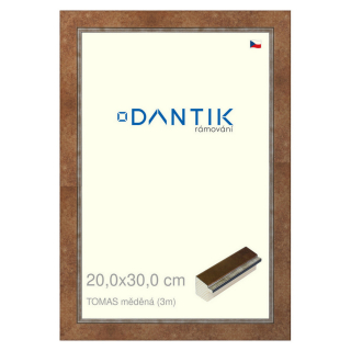 DANTIK rámeček 20x30 | TOMAS měděná (Sklo Čiré)