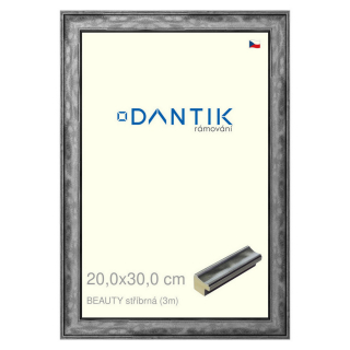 DANTIK rámeček 20x30 | BEAUTY stříbrná (Sklo Čiré)