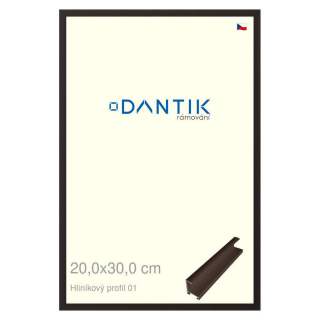 DANTIK rámeček 20x30 | ALU profil 7001 Hnědá matná (Sklo Čiré)