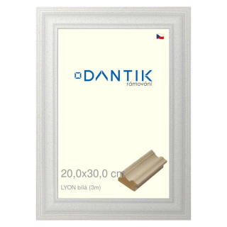 DANTIK rámeček 20x30 | LYON Bílá (Sklo Čiré)