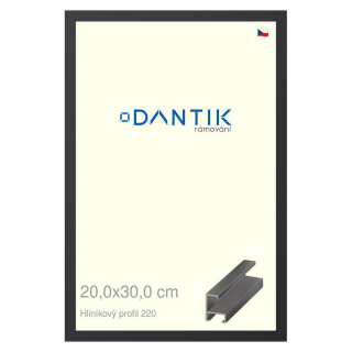 DANTIK rámeček 20x30 | ALU profil 6220 Černá matná (Sklo Čiré)