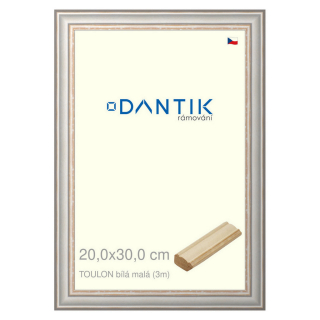DANTIK rámeček 20x30 | TOULON bílá malá (Sklo Čiré)