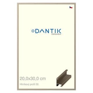 DANTIK rámeček 20x30 | ALU profil 6030 champagne (Sklo Čiré)