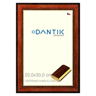 DANTIK rámeček 20x30 | CASTAGNO hnědá Au linka (Sklo Čiré)