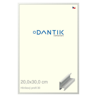DANTIK rámeček 20x30 | ALU profil 6030 Bílá matná (Sklo Čiré)