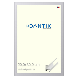 DANTIK rámeček 20x30 | ALU profil 6220 Bílá matná (Sklo Čiré)