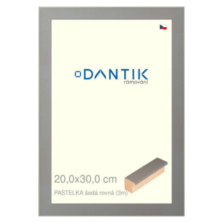 DANTIK rámeček 20x30 | PASTELKA šedá rovná (Sklo Čiré)