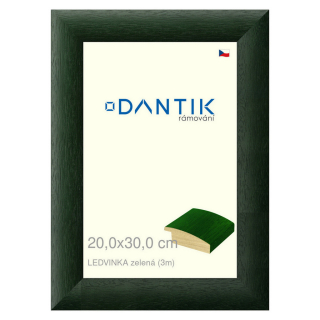 DANTIK rámeček 20x30 | LEDVINKA zelená (Sklo Čiré)