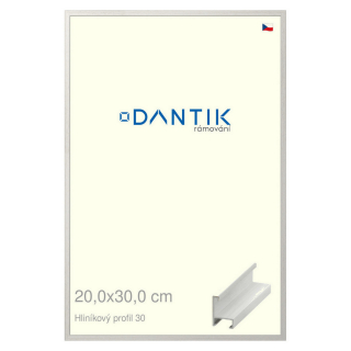 DANTIK rámeček 20x30 | ALU profil 6030 Dýha bílá (Sklo Čiré)