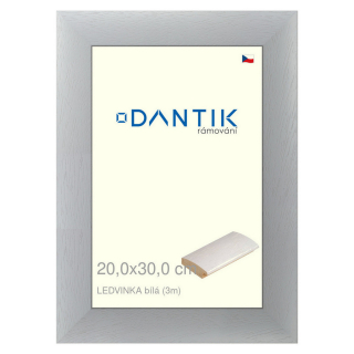 DANTIK rámeček 20x30 | LEDVINKA bílá (Sklo Čiré)