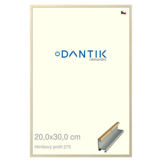 DANTIK rámeček 20x30 | ALU profil 7273 Dýha javor (Sklo Čiré)