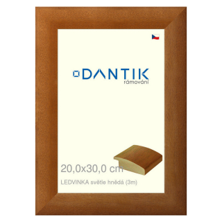 DANTIK rámeček 20x30 | LEDVINKA světle hnědá (Sklo Čiré)