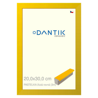 DANTIK rámeček 20x30 | PASTELKA žlutá rovná (Sklo Čiré)