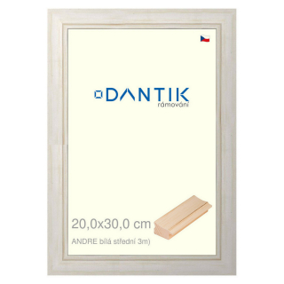 DANTIK rámeček 20x30 | ANDRE Bílá střední (Sklo Čiré)