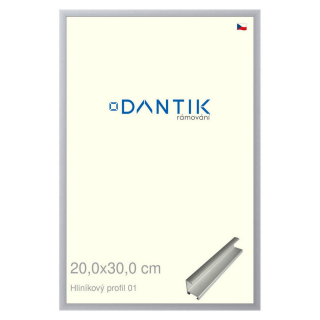 DANTIK rámeček 20x30 | ALU profil 7001 Stříbrná matná (Sklo Čiré)
