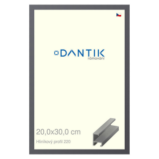 DANTIK rámeček 20x30 | ALU profil 6220 Ocelová (Sklo Čiré)