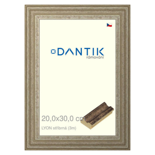 DANTIK rámeček 20x30 | LYON stříbrná (Sklo Čiré)