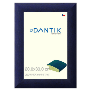 DANTIK rámeček 20x30 | LEDVINKA modrá (Sklo Čiré)