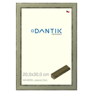 DANTIK rámeček 20x30 | AKVAREL zelená (Sklo Čiré)