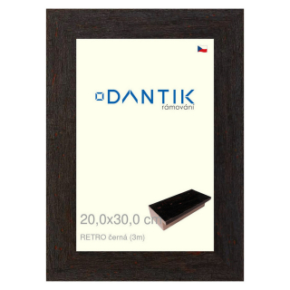 DANTIK rámeček 20x30 | RETRO černá (Sklo Čiré)