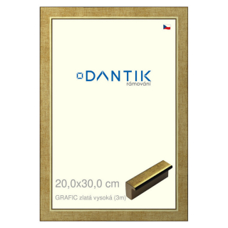 DANTIK rámeček 20x30 | GRAFIC zlatá vysoká (Sklo Čiré)