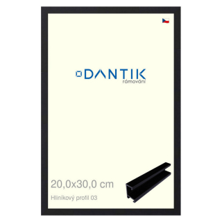 DANTIK rámeček 20x30 | ALU profil 7003 Černá matná (Sklo Čiré)