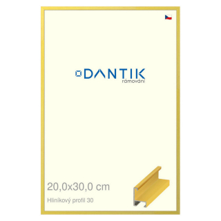 DANTIK rámeček 20x30 | ALU profil 6030 Dýha barevná žlutá citrus (Sklo Čiré)