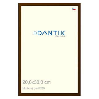 DANTIK rámeček 20x30 | ALU profil 7269 Hnědá umbra broušená (Sklo Čiré)