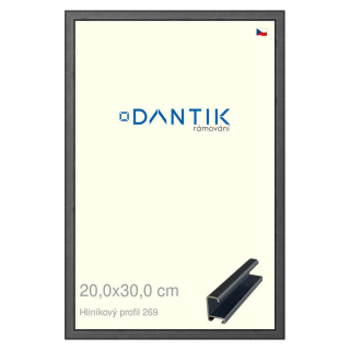 DANTIK rámeček 20x30 | ALU profil 7269 Šedá Oplal broušená (Sklo Čiré)