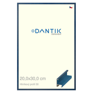 DANTIK rámeček 20x30 | ALU profil 6030 Dýha barevná modrá královská (Sklo Čiré)