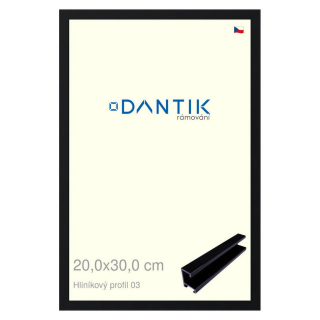 DANTIK rámeček 20x30 | ALU profil 7003 Černá Florentinská (Sklo Čiré)