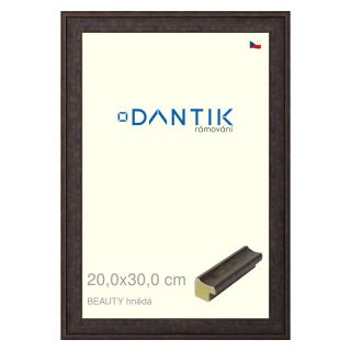 DANTIK rámeček 20x30 | BEAUTY hnědá (Sklo Čiré)