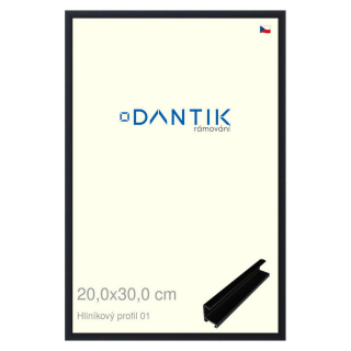 DANTIK rámeček 20x30 | ALU profil 7001 Černá matná (Sklo Čiré)