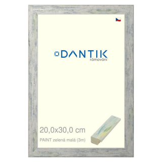 DANTIK rámeček 20x30 | PAINT zelená malá (Sklo Čiré)