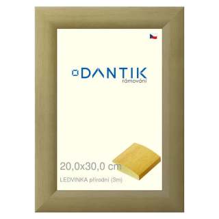 DANTIK rámeček 20x30 | LEDVINKA přírodní (Sklo Čiré)