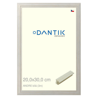 DANTIK rámeček 20x30 | ANDRE Bílá (Sklo Čiré)
