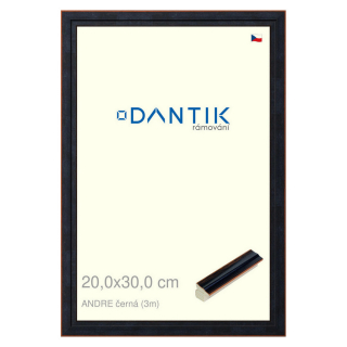 DANTIK rámeček 20x30 | ANDRE černá (Sklo Čiré)