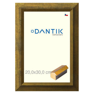 DANTIK rámeček 20x30 | Forgia Gold (Sklo Čiré)