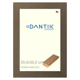 DANTIK rámeček 20x30 | ATHINA hnědá (Sklo Čiré)