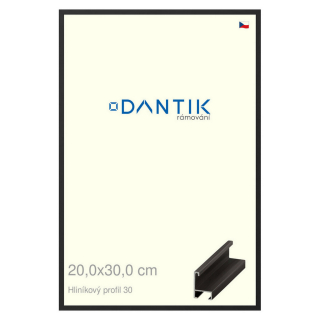 DANTIK rámeček 20x30 | ALU profil 6030 Černá matná (Sklo Čiré)