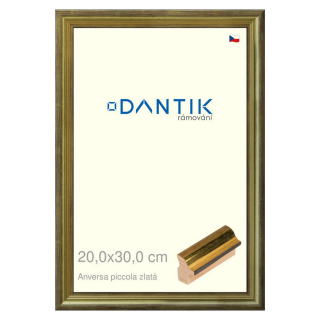 DANTIK rámeček 20x30 | ANIVERSA piccola zlatá (Sklo Čiré)