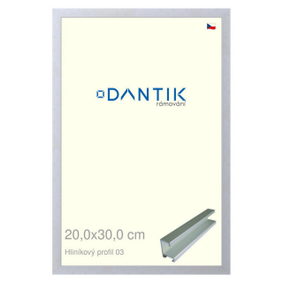 DANTIK rámeček 20x30 | ALU profil 7003 Stříbrná matná (Sklo Čiré)