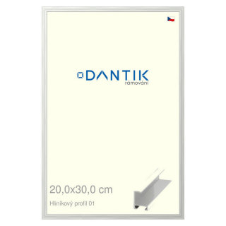 DANTIK rámeček 20x30 | ALU profil 6001 Stříbrná lesklá (Sklo Čiré)