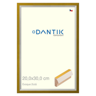 DANTIK rámeček 20x30 | EVOQUE žlutá (Sklo Čiré)