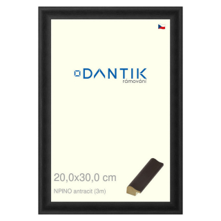 DANTIK rámeček 20x30 | NPINO antracit (Sklo Čiré)