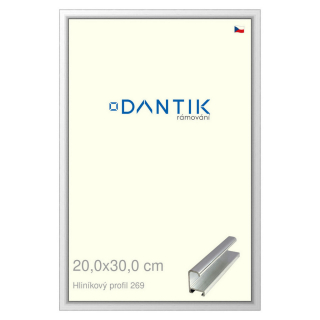 DANTIK rámeček 20x30 | ALU profil 7269 Stříbrná lesklá (Sklo Čiré)