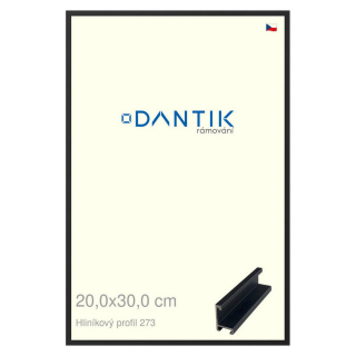 DANTIK rámeček 20x30 | ALU profil 7273 Černá matná (Sklo Čiré)
